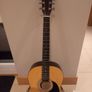 guitar - new hobby? Image 8