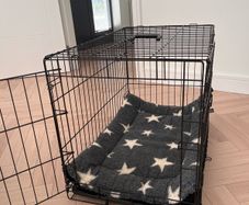 Medium Dog Crate + Dog Bed - Like New