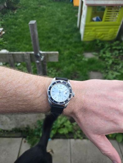 Vintage Elgin Diver
