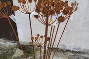 Cow parsley head steel ornament