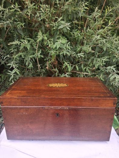 Sheraton Revival Large Mahogany Tea Caddy(Circa 1850)