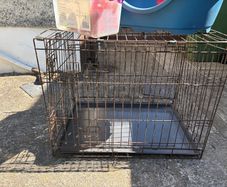 Dog Training Crate ,Bed and 8 Feeding Kongs