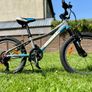 Giant Xtc 20' Image 2
