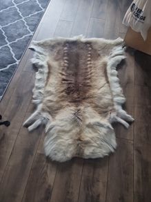 reindeer skin