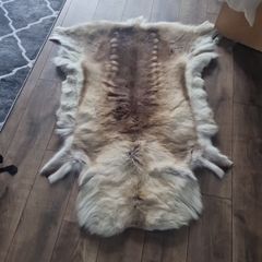 reindeer skin