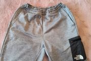 The North Face shorts