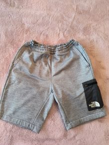 The North Face shorts