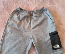 The North Face shorts