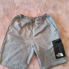 The North Face shorts