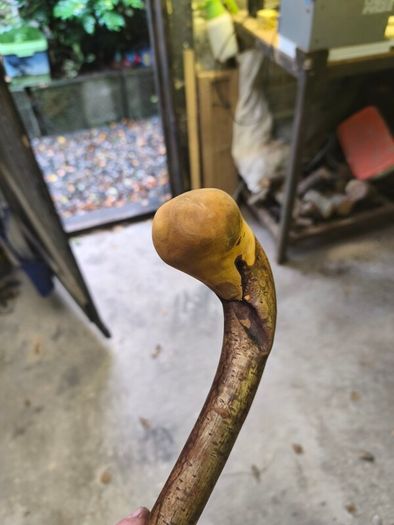 walking stick