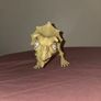Zuru Smashers Epic Dino Egg Collectibles Series 3 Skeleton Triceratops Figure Image 2