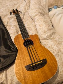 Bass Ukulele