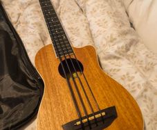 Bass Ukulele