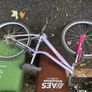 3 bikes free to take away Image 7