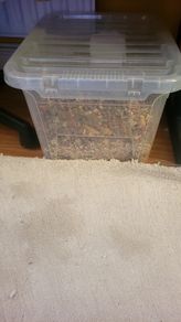 Small animal food