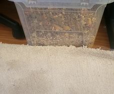 Small animal food