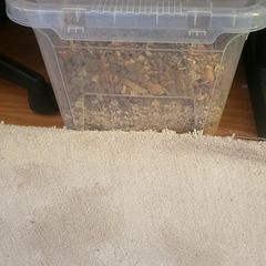 Small animal food