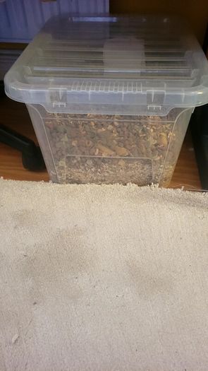 Small animal food