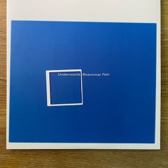 Underworld - Beaucoup Fish - 2 x 12" Gatefold LP - 2017 Remastered Version