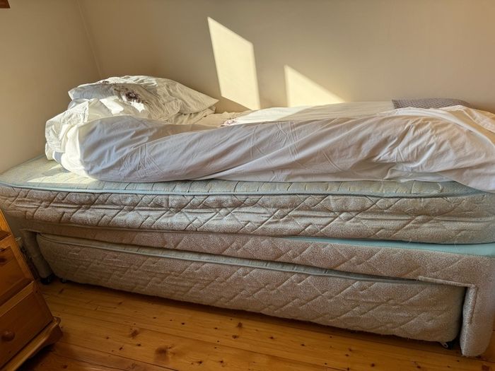 Single trundle bed - ie has further pull out single bed on wheels underneath