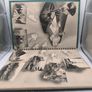 Vintage stamp collection (Chinese, Irish etc) Image 4