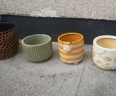 Plant pots