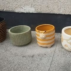 Plant pots