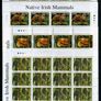 2002 Ireland Native Irish Mammals (41c Badger, 50c Otter, 57c Red Squirrel & E1 Hedgehog) Commemorative Stamp Sheetlet 1A1A1A1A Mint Never Hinged (MNH) Image 2
