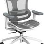 Sihoo Doro C300 Ergonomic Lumbar Support Office Chair Image 7