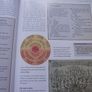 2010 "How to Find Your Family History: How to Trace Your Family Tree and Find Relatives in England, Ireland, Scotland and Wales" by Kathy Chater Image 9