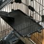 Rabbit cage enclosure 5 levels with 3 doors 5 ramps removable tray casters 81 x 52.5 x 159 cm black and gray Image 2