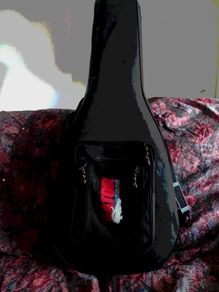 Guitar case