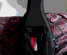 Guitar case