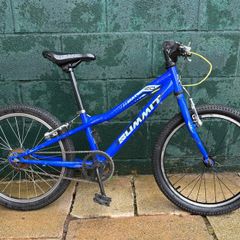 20 Inch Summit Bike