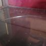 gerbil hamster cage Image 8