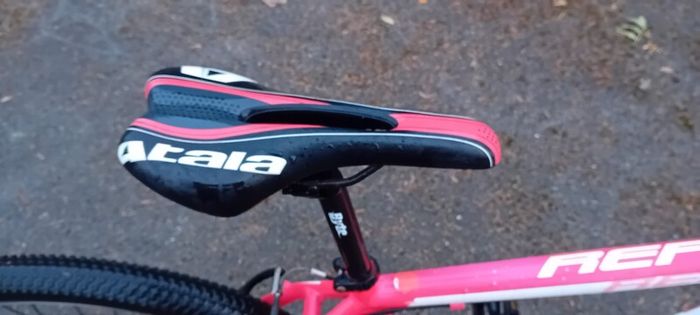 Bargin Mountain Bike