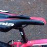 Bargin Mountain Bike Image 4