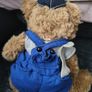 Old Teddy Bear Scholar with Hat Tagged Plush Soft Toy Teddy Bear Image 3