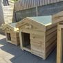 Pressure treated dog kennels Image 2