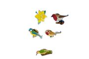 Collectable RSPB Pins