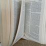 The Holy Bible: A Translation from the Latin Vulgate in the Light of the Hebrew and Greek Originals Translated by Monsignor Ronald Knox (PT249) Image 5