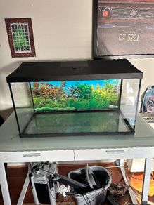 fish tank with accessories