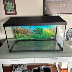 fish tank with accessories