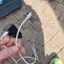 Samsung Fast Charger + USB-C Cable Image 4