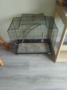 bird cage