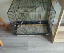 bird cage