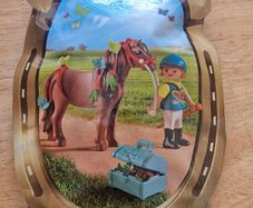 BRAND NEW Playmobil Country 6971 Groomer with Butterfly Outfit Pony Action Figure