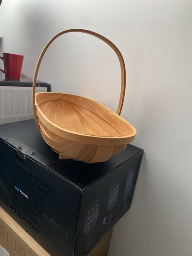newborn photography basket