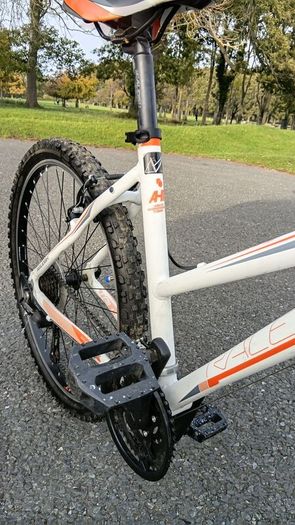 Raleigh Talus 1.0 Lds