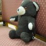 VintageTeddy Bear Image 2